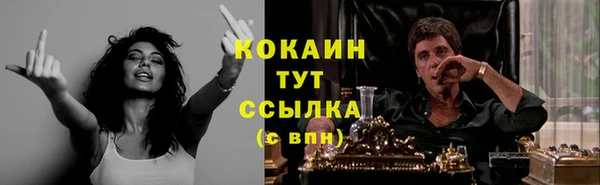 прущие крисы Богданович