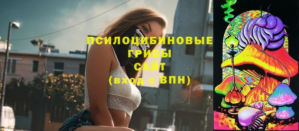 прущие крисы Богданович